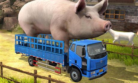 Driver Master Simulator  - crazygames