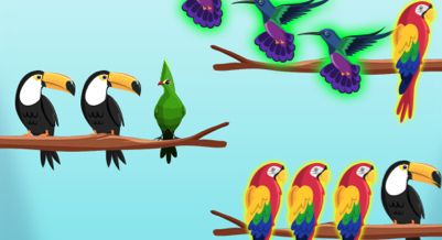 Bird Sort Challenges - crazygames