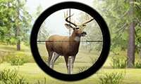 Contract Deer Hunter - crazygames