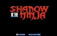 Shadow of the Ninja (USA) - crazygames