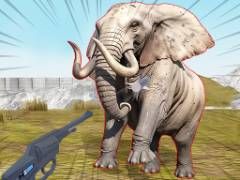 Zoo Anomaly Simulation - crazygames