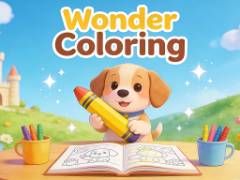 Wonder Coloring - crazygames