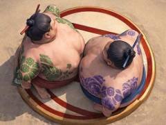 Sumo Wrestling Battle - crazygames